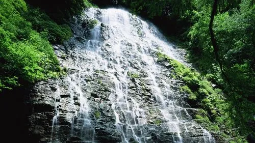 高效独特高标准